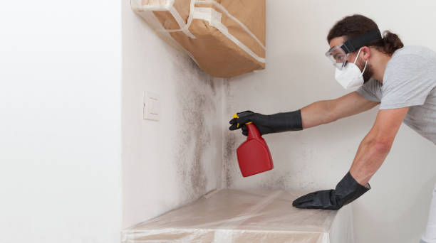Professional Mold Inspection And Testing technician working in Harrisburg, NC